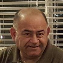 ALEXANDER SCHECHTER