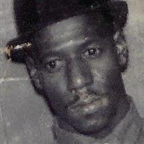 Mr. J C  Brown