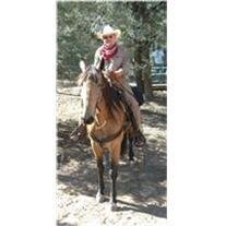 Dr. Jerome "Jerry" Thomas Taurek