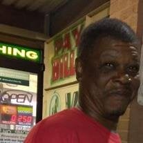 Mr.  Leon Lyles