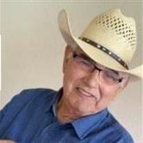Pilo G. Trevino