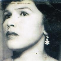 Virginia Ojeda