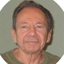 Donald Dominic Molaro