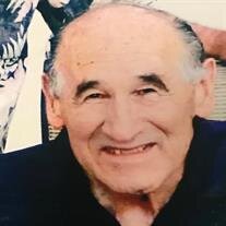 Mr. Frank Zamora Jr.