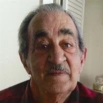 Elia Yaghoubisalmasi