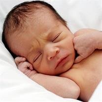 Nino Luis Rodriguez Jr.