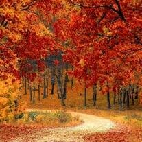 Daniel Gonzalez De Leon