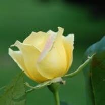 Mrs. Elizabeth Mary (Matthews) Robarge