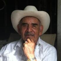 Mr. Reynaldo Longoria