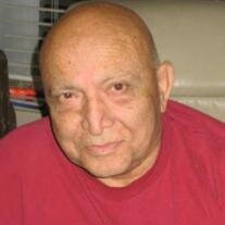 Mr Fred Farhad Hakimipour