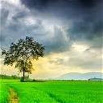 Edward Matthew Valladares