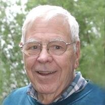 Dr. David Louis Tomczak DPM