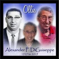 Mr. Alexander P. DiGuiseppe