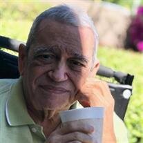 Hector  Luis  Valentin-Bauzo