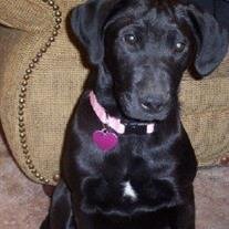 Baby Czopek