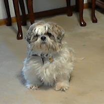 Rusty Serfozo