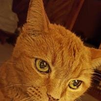 Peanut Puskaric