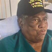 Mr. John Hendricks Jr.