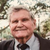 Theodore Millard Van Sant