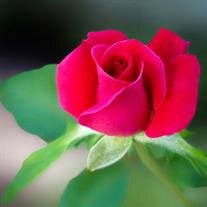 Aglaia "Pat" Kuerschner