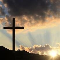 Harry E. Koeppen D.V.M