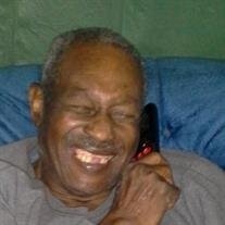 Mr.  Sylvester  Green 