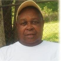 Mr. Ivory  English