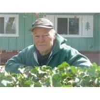 George Chapman Gosling, Jr.
