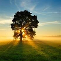 John Keith Ollenberger