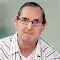 Dale W. Pluger