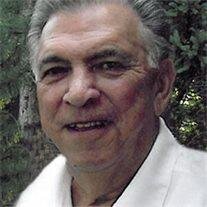 Vincent J. Licari