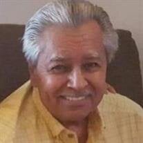 Mr.  Ervin Victor Green 