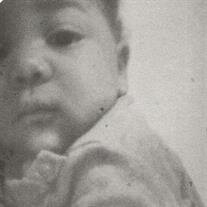 Mr. Karter Rashad Fitzgerald McCarty