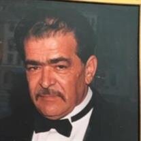 Mr Domenic Ingrao