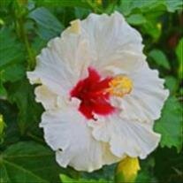 Carol Ann Bethell