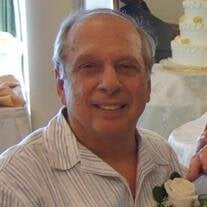 Michael J DiBello