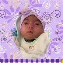 Baby Girl Robyn Elani Logan