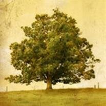 Glen W Gillispie