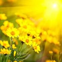 Shirley Joann Reynolds