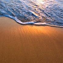 Mark A. Rieder
