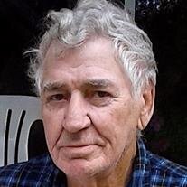 Leroy "Lee" Fred Schwan