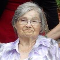 Shirley Ann Schlemmel