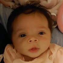 Baby Girl Zaniyah Jasmine Simpson