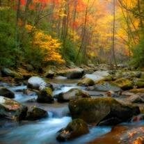 James (Tom) Hutcherson Sr