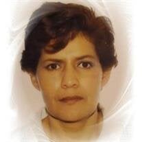 Maria Teresa Arenas Perez