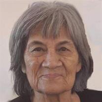 Monica Urrutia Palmarez