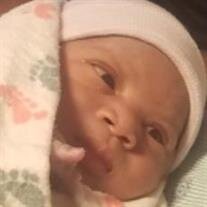 Baby Ayden Amari Minter