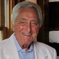 Irvin S Silverstein M.D.