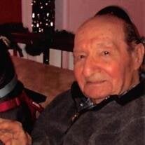 Dominick Joseph Saulle