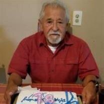 Mauricio De Leon, Jr.